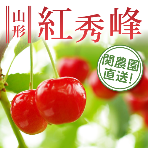 関農園のさくらんぼ