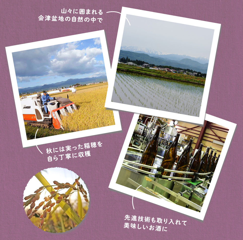 山々に囲まれる会津盆地の自然の中で、秋には実った稲穂を自ら丁寧に収穫。先進技術を取り入れて美味しいお酒に
