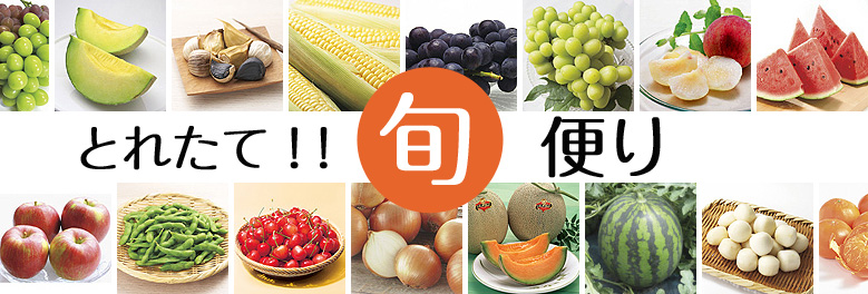 とれたて！！旬便り