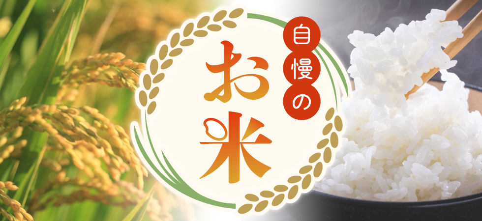 バイヤーいちおし