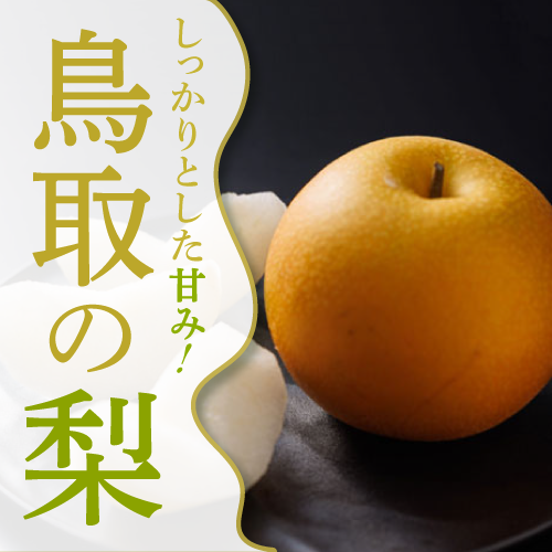 鳥取の梨
