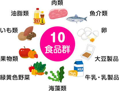 10食品群　肉類、魚介類、卵、大豆製品、牛乳・乳製品、海藻類、緑黄色野菜、果物類、いも類、油脂類