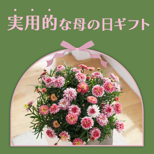 実用的なギフト