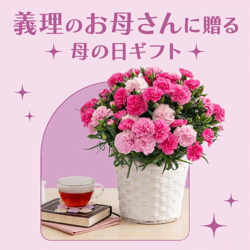義理のお母さんへ