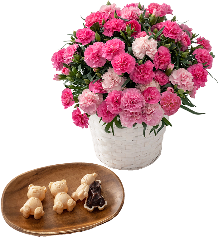 お花とスイーツセット