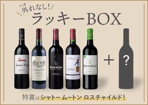 お楽しみワインセット〈特賞はシャトー ムートン ロートシルト 2016年〉