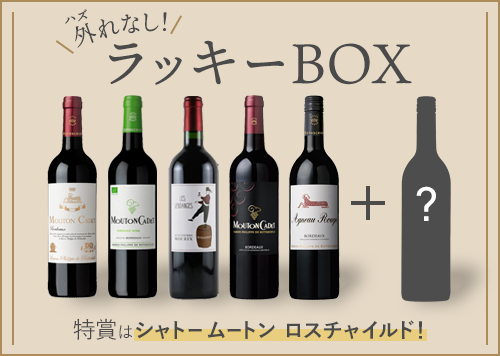 お楽しみワインセット