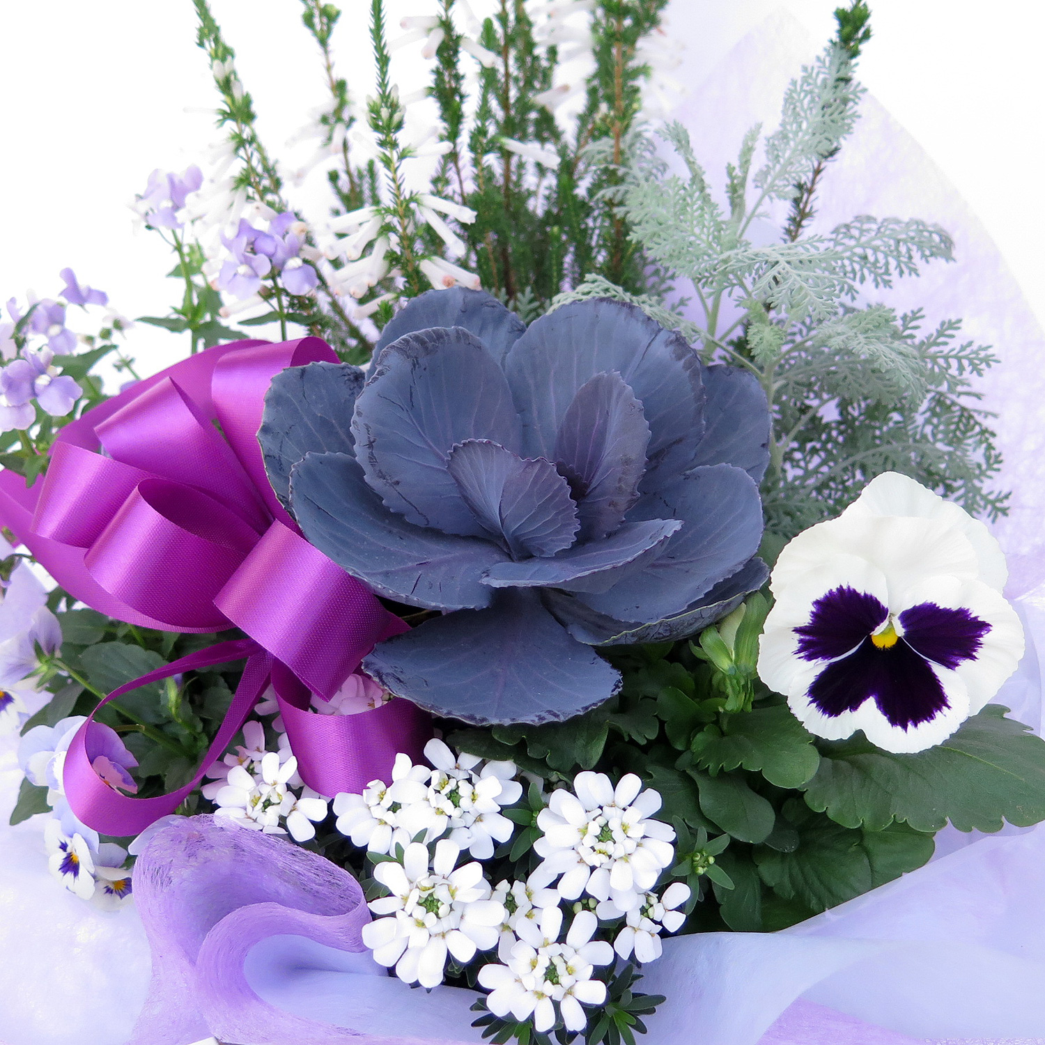 ≪ヴェルデステ≫季節の寄せ籠（白紫系）(10-verde161106)  ギフト 