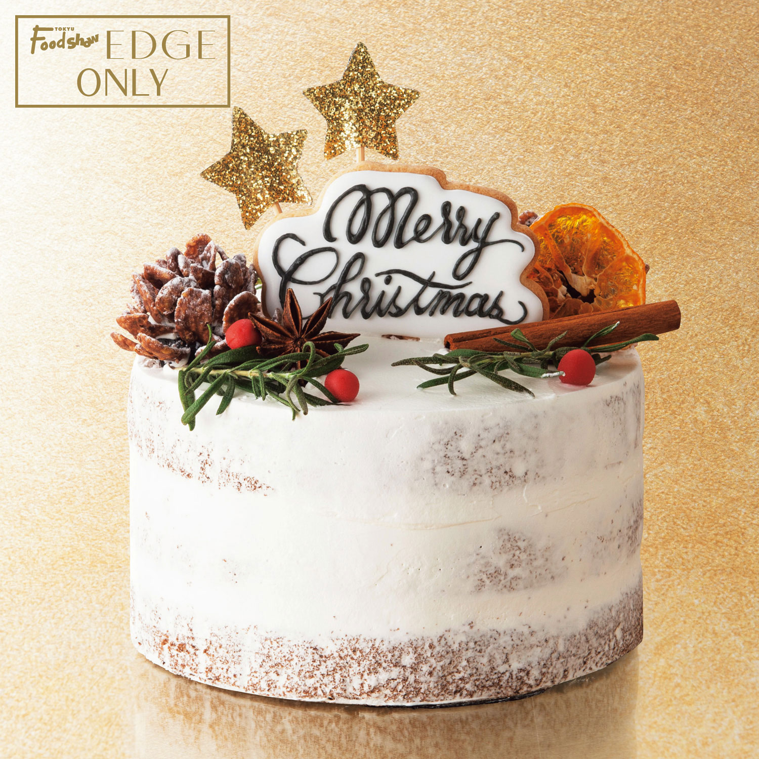 タンデコロリのクリスマスケーキ 小田急限定ロマンスカーのアイシングクッキーなどpopなデザイン タンデコロリのクリスマスケーキ 小田急限定ロマンスカーのアイシングクッキーなどpopなデザイン