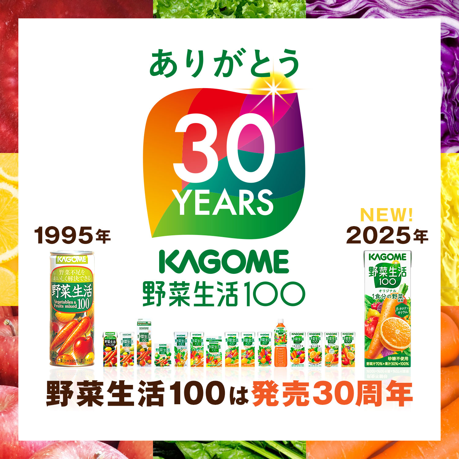 ガバメント。お野菜の袋詰め。 hg_hikigashi_1133076_pkg_b675b