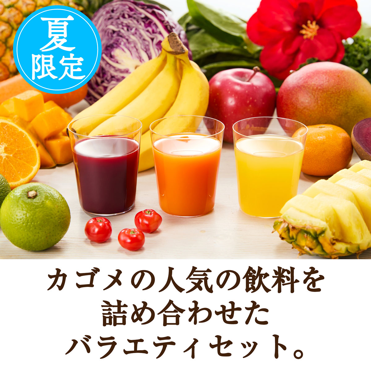 お中元≪カゴメ≫すこやかサマーバラエティギフト（KYJ-30S）(C26-514