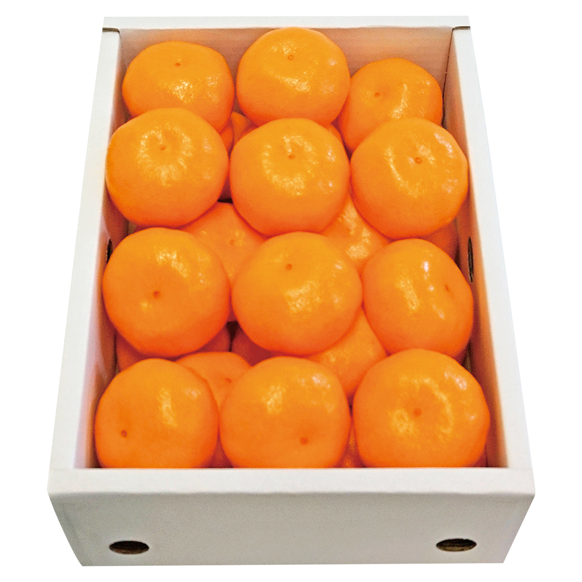 夏のお買得品≪九州屋≫佐賀県産温室みかん(O26S-698-436) | ギフト