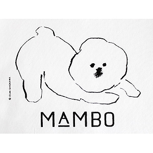 クラスカ ギャラリー ショップ ドー キッズtシャツ Mambo 80サイズ Sq4f Clask0709 ギフト通販なら東急百貨店ネットショッピング