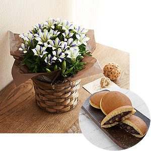 敬老の日 日比谷花壇 りんどう白寿 長﨑堂どら焼きセット 送料込 21keiro 10hi 005 ギフト通販なら東急百貨店ネットショッピング