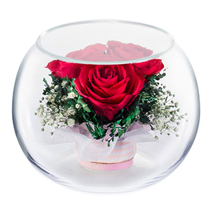 母の日ギフト レンデフロール バラ かすみ草 S B 21mama 10k 086 ギフト通販なら東急百貨店ネットショッピング