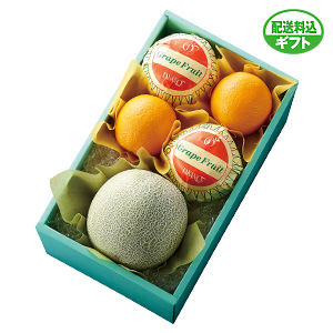お中元 新宿高野 メロン シトラスセット C21 546 038l ギフト通販なら東急百貨店ネットショッピング