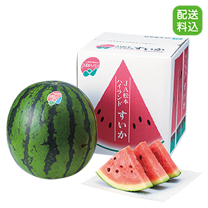 夏のお買得品 林フルーツ 長野県産すいか Ja松本ハイランド O21s 698 405 ギフト通販なら東急百貨店ネットショッピング 夏のお買得品 林フルーツ 長野県産すいか Ja松本ハイランド O21s 698 405 ギフト通販なら東急百貨店ネットショッピング