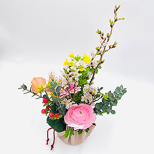 さっぽろ店受取 青山フラワーマーケット 桃の花ギフトアレンジメント 受取時間3月3日 木 10時30分 18時 22bhina 60fd 024 ギフト通販なら東急百貨店ネットショッピング