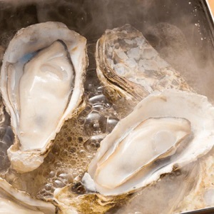 寺本水産 広島産 おうちで牡蠣小屋気分 カンカン焼き 35個 送料込 Hiroshi 2613 ギフト通販なら東急百貨店ネットショッピング