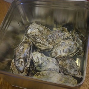 寺本水産 広島産 おうちで牡蠣小屋気分 カンカン焼き 35個 送料込 Hiroshi 2613 ギフト通販なら東急百貨店ネットショッピング