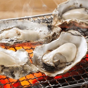 寺本水産 広島産 おうちで牡蠣小屋気分 カンカン焼き 35個 送料込 Hiroshi 2613 ギフト通販なら東急百貨店ネットショッピング