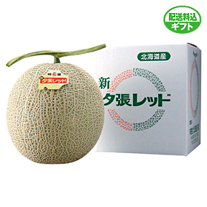 ≪北海道≫新夕張レッドメロン 1玉 ☆　税込5,400円