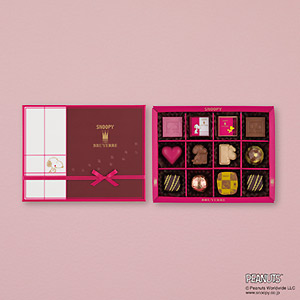 ≪スヌーピー meets ブリュイエール≫スヌーピー meets ブリュイエール セレクション 12