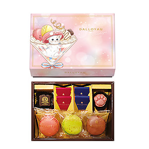 ≪ダロワイヨ≫ショコラニャカロン詰め合わせ ドゥ