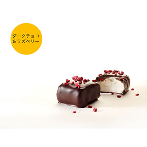 「数量限定 在庫処分セール」 ◇ホワイトデー≪BARU（バルー）≫セレクション 8(25WD-SQB2-219 菓子