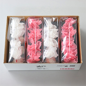 ≪ゐざさ≫花咲く手まり寿司（送料込） 