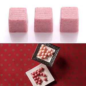 すず。ER豊臣秀吉 フレーム変更『バレンタインデー』8枚 バレンタイン