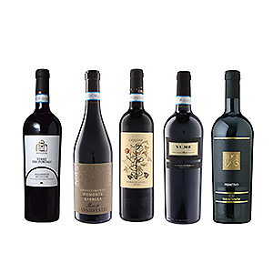 ≪和洋酒≫イタリア土着品種濃厚フルボディ赤ワイン5本セット(Msl-40FD-2501005) | ギフト通販なら東急百貨店ネットショッピング