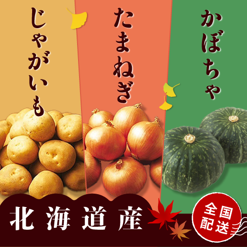 さっぽろじゃがいも・玉ねぎ全国発送承り